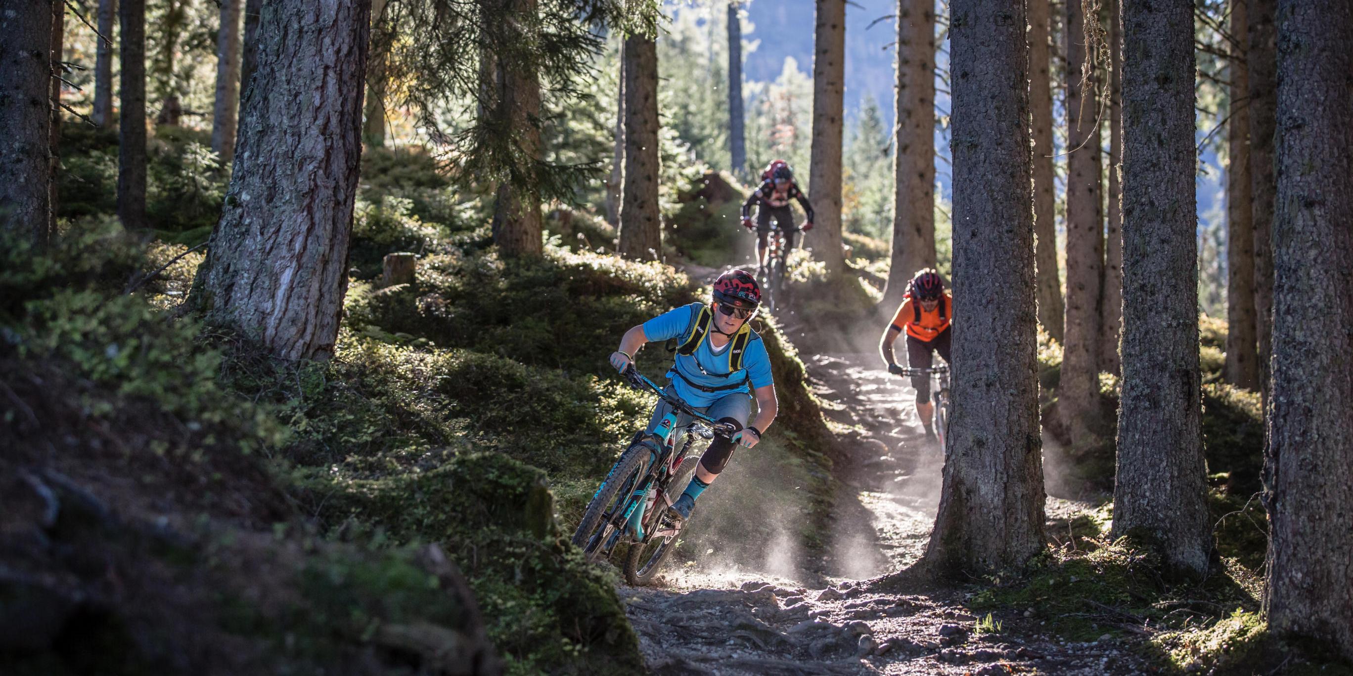 urban bike 29 U Trail 1 BLK XL – Bicycle Gallery Color:Cloud grey Catalinbread SFT – United type-set Alloy BMX Pedals Our